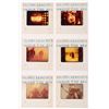 Image 3 : A Collection of "20,000 Leagues Under the Sea" Slides.