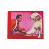 Image 4 : A Collection of "The Shaggy Dog" Lobby Cards.