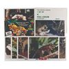 Image 1 : A Set of "Jungle Cat" Lobby Cards.