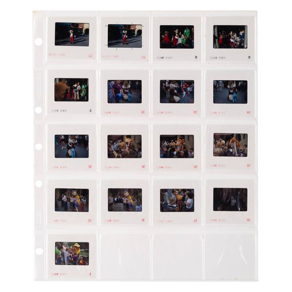 A Disneyland Walkaround Character Slide Collection.