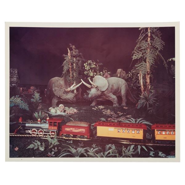 A Primeval World Triceratops Model Photo.
