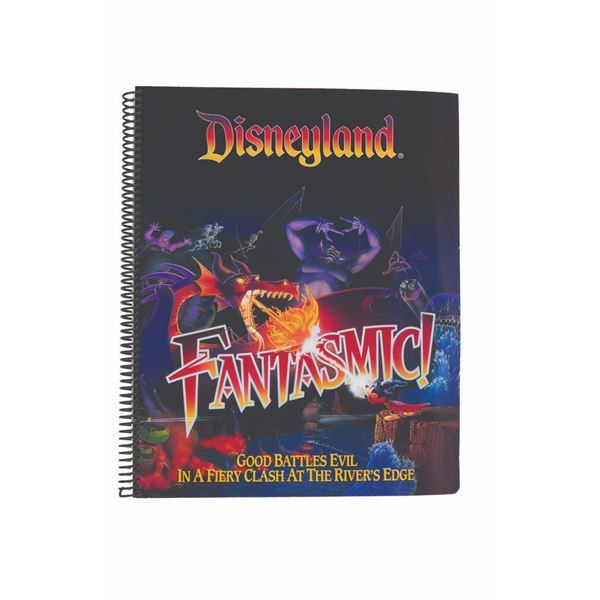 A Disneyland History of the Walt Disney Company Book.