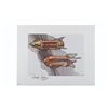 Image 2 : A Multi-Signed Tomorrowland Rapid Transit 50 Years Print Set.