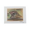 Image 6 : A Multi-Signed Tomorrowland Rapid Transit 50 Years Print Set.
