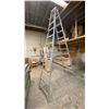 Image 2 : 12' ALUMINUM LADDER *LAST DAY REMOVAL*