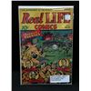 Image 1 : REAL LIFE COMICS #23 (1945)