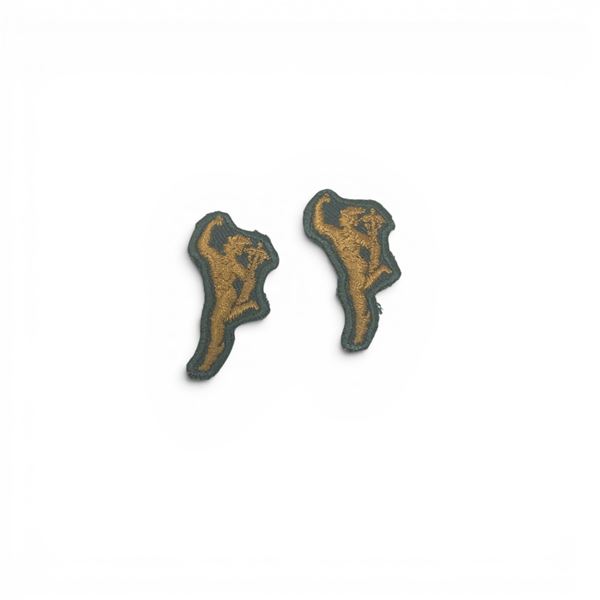 Garrison Dress Signals Badge X 2