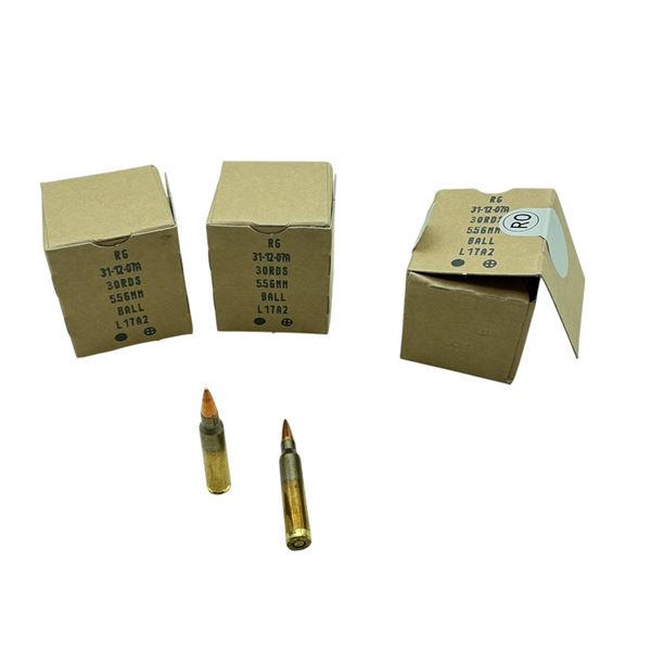 British Made 5.56 mm, FMJ Ball ammunition, 90 Rounds