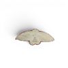 Image 2 : Canadian Army Pilot's Wings for Scarlet Mess Kit
