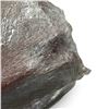 Image 2 : Ani Logics Black Ops Special Forces Bear Attractant in Berry Blast, Approx 20 Lb Blocks X 2