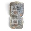 Image 1 : Ani Logics Signature Series 'Crush' Whitetail Deer Attractant in Acorn Approx 20 Lb Block X 2