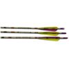 Image 6 : Bear Shadow Compound Bow 26" Draw Length 60Lb Draw Weight With Accra Sight Quiver Hard Case W/Arrows