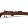 Image 7 : TOZ 17-01 Bolt Action Rifle .22LR 21" Barrel Wood Stock