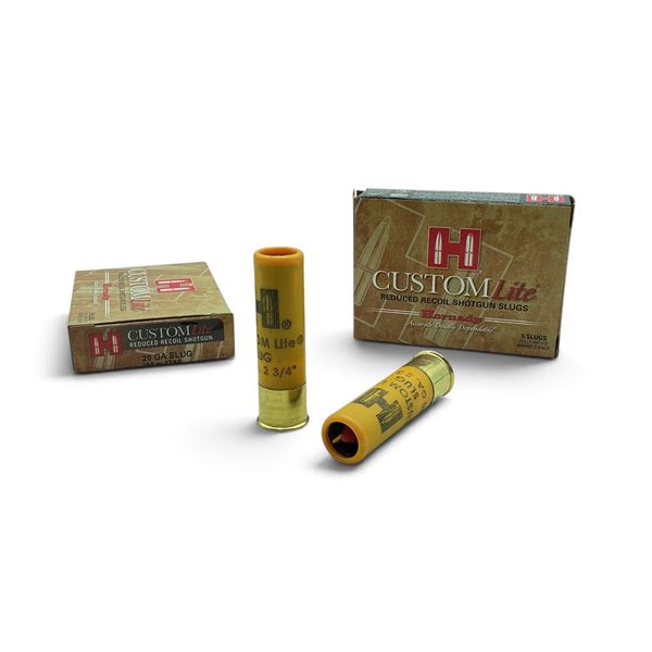 Hornady Custom Lite 20 Gauge 250 Grain FTX Slug Ammunition, 10 Round
