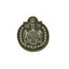 Image 1 : Combat Uniform CF CWO Badge