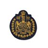 Image 1 : Work Dress CF CWO Badge