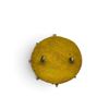 Image 2 : Royal Canadian Army Service Corps King's Crown Cap Badge, With Yellow Backing