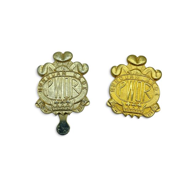 Princess of Wales Own Regiment Cap Badges X 2