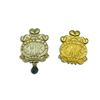 Image 1 : Princess of Wales Own Regiment Cap Badges X 2