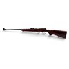 Image 2 : TOZ 17-01 Bolt Action Rifle .22LR 21" Barrel Wood Stock