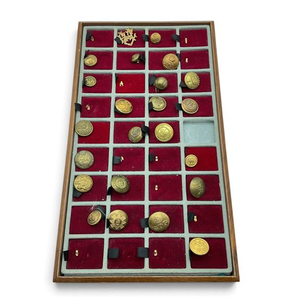 Military Button Collection