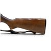 Image 3 : CZ BRNO Model 581 Automatic Semi Auto Rifle 22LR 22" Barrel Wood Stock