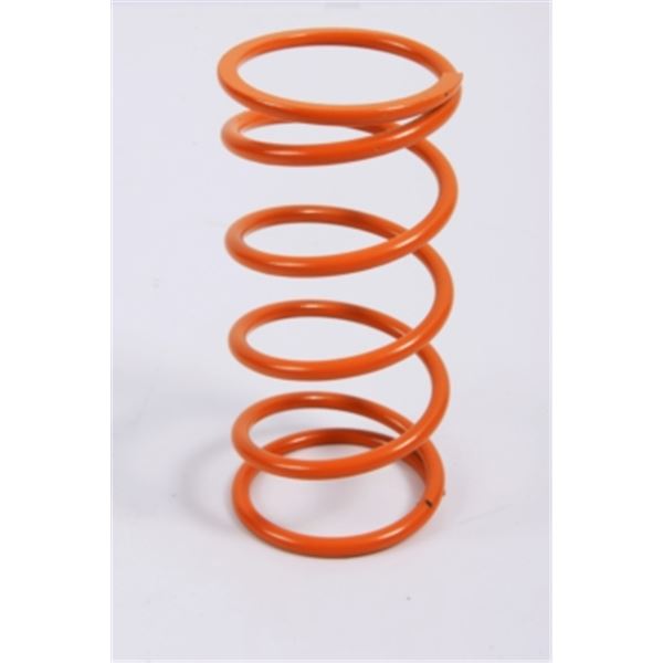 EPI Performance Primary Clutch Spring, New