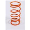 Image 1 : EPI Performance Primary Clutch Spring, New