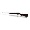 Image 2 : CZ BRNO Model 581 Automatic Semi Auto Rifle 22LR 22" Barrel Wood Stock