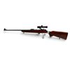 Image 2 : TOZ 18-01 Bolt Action Rifle 22LR 21" Barrel Wood Stock With Russian No-1M Scope
