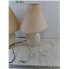 Image 5 : (2) Lamps Tested Works