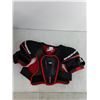 Image 4 : Partial Set of Junior Hockey Gear - Shin, Pants, Chest, Neck Pads & Bag
