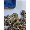 Image 2 : 14' Chain With Hooks In Carrying Case, Cannot Ship