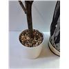 Image 5 : *Decorative Plant and Vase, Pickup Only