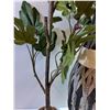 Image 6 : *Decorative Plant and Vase, Pickup Only