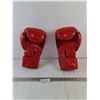 Image 1 : The Good Fight 2T4:7 Boxing Gloves