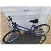 Image 2 : **Ascent Supercycle Bicycle - PICKUP ONLY