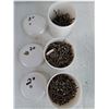 Image 2 : Various Sizes Nails, Pickup Only