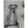 Image 3 : Castration Tool, Bull Lead, Cow Kickers