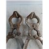 Image 2 : (2) Castration Tools