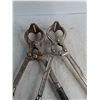 Image 3 : (2) Castration Tools