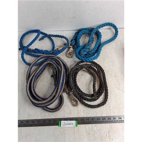 (4) Poly Lead Ropes