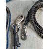 Image 2 : (4) Poly Lead Ropes