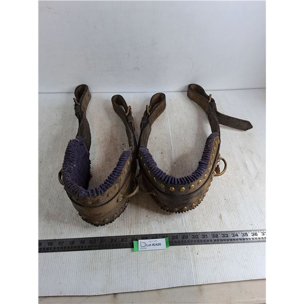 (2) Harness Back Bands