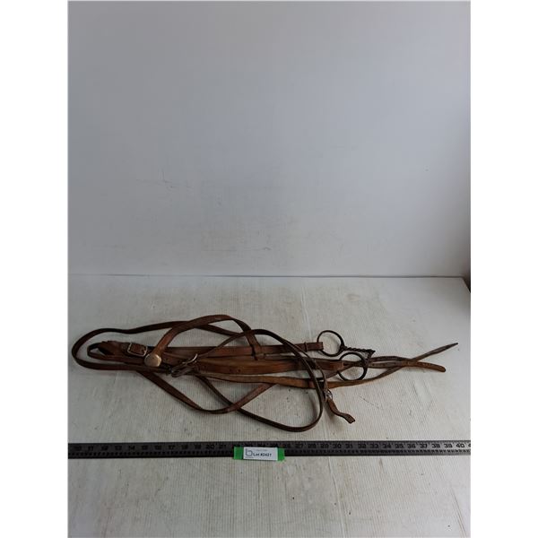 Bridle with Twisted Snaffle