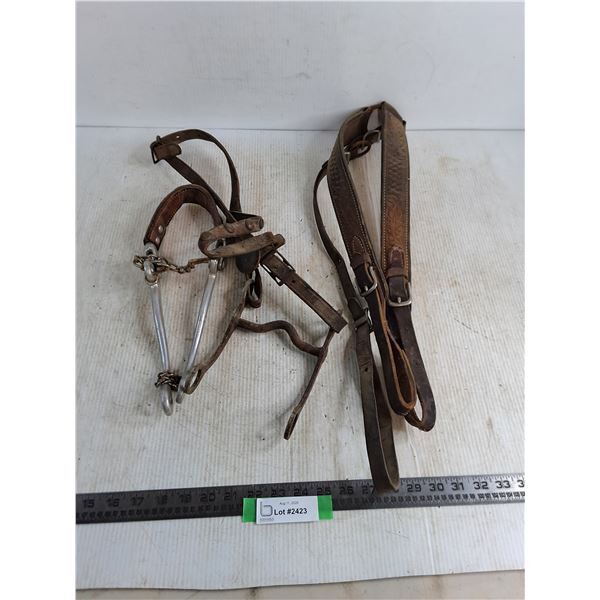 Breast Collar Hackamore Bridle