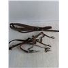 Image 2 : Breast Collar Hackamore Bridle