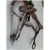 Image 3 : Breast Collar Hackamore Bridle