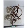 Image 1 : (2) Rope Halters, (1) Bridle