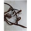 Image 2 : (2) Rope Halters, (1) Bridle